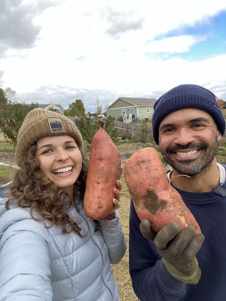 Photo of Lee and Hayley harvesting sweet potatoes